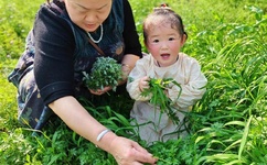 内衣办公室快播